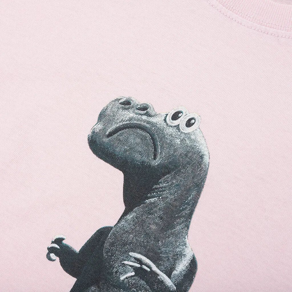 Big & Meaty Pigment Dyed Tee - Blush