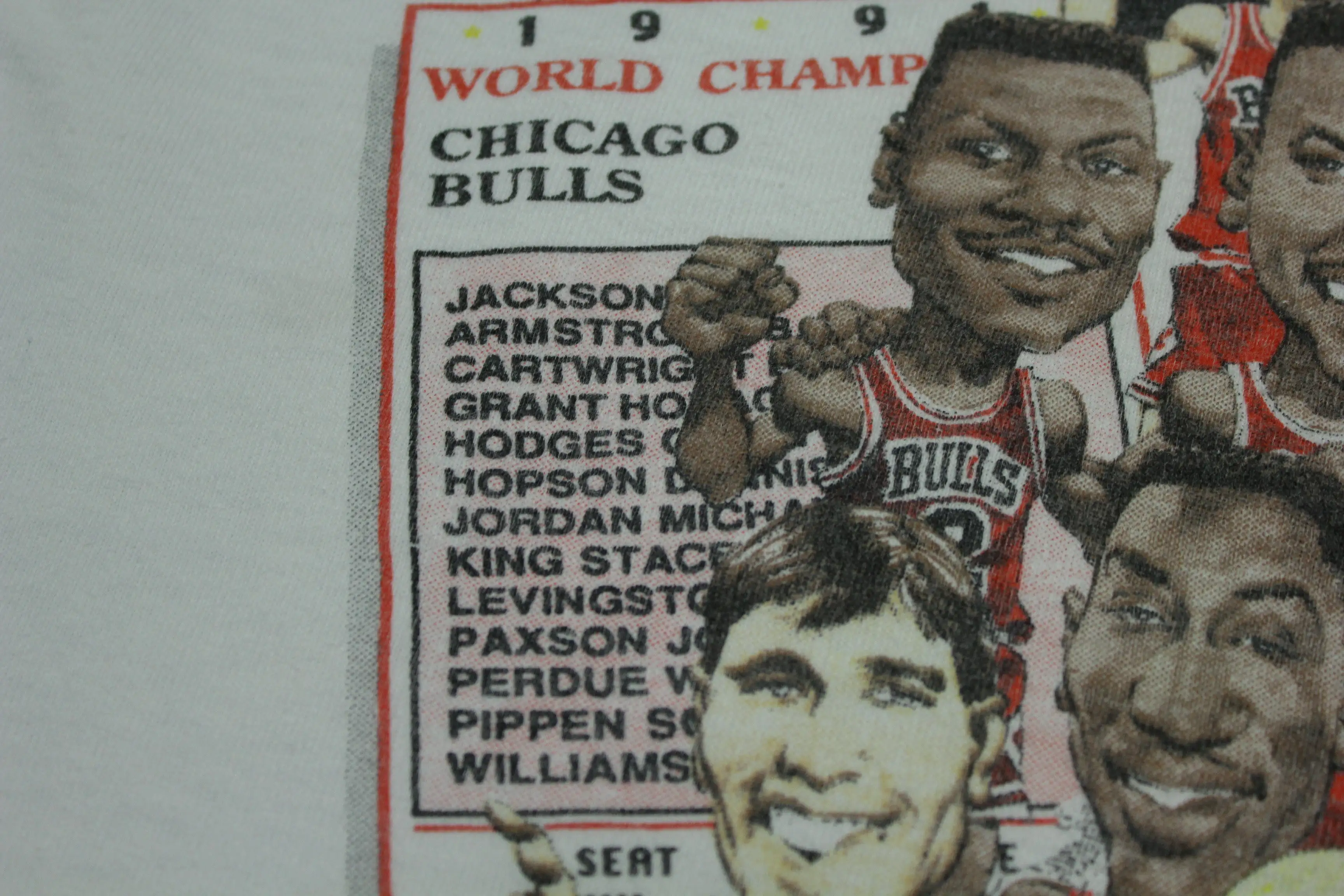 Chicago Bulls Vintage 1991 Champions Jordan Pippen Phil Jackson Salem USA T-Shirt