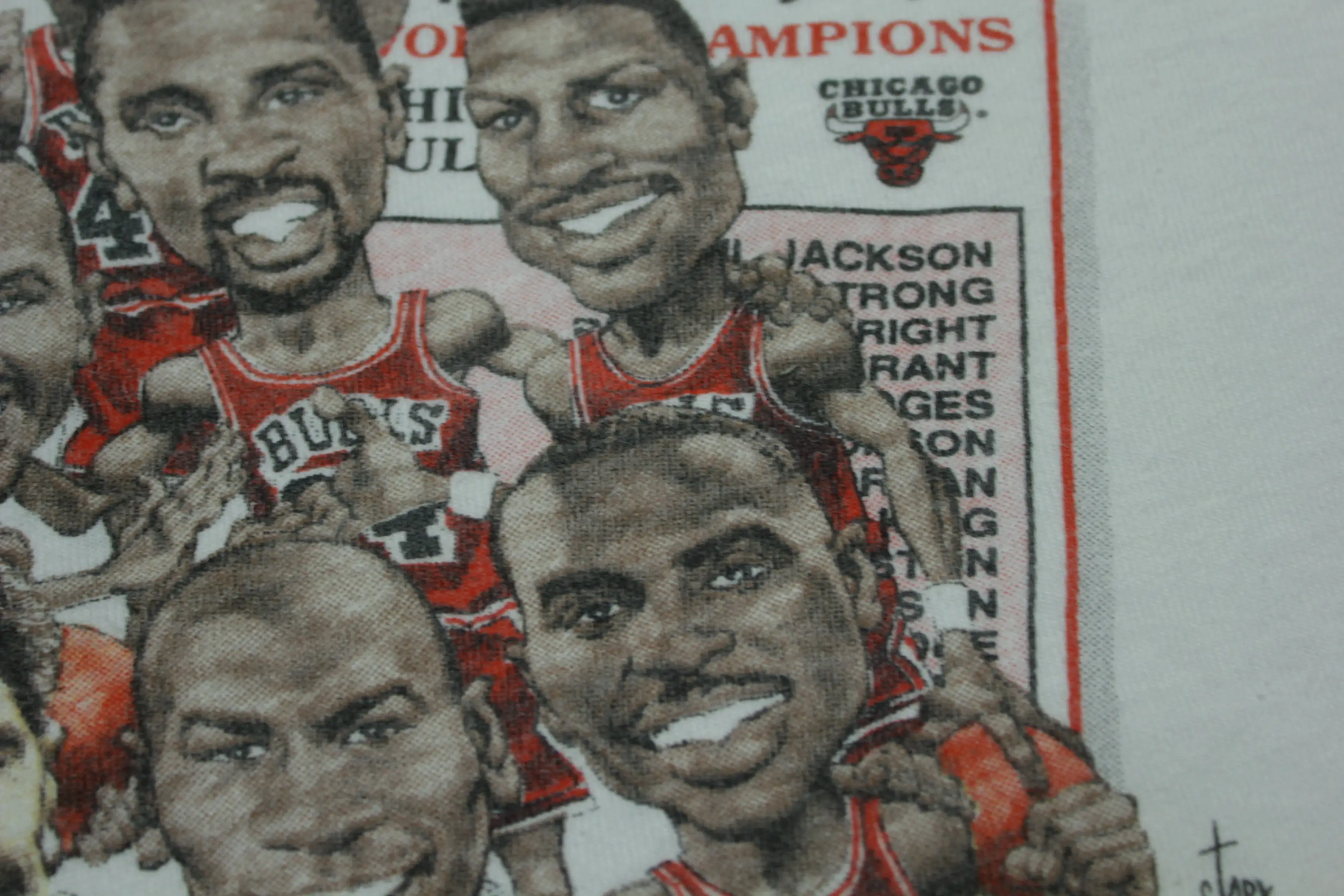 Chicago Bulls Vintage 1991 Champions Jordan Pippen Phil Jackson Salem USA T-Shirt